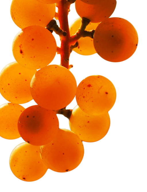 orange grapes